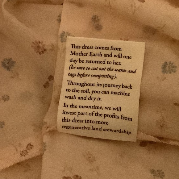 Christy Dawn Della Dress in Carnelian Aster Garden - Picture 7 of 10